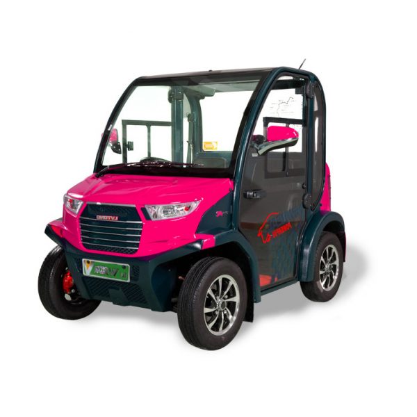 2-seater Electric VV Cart LT-S2.DB